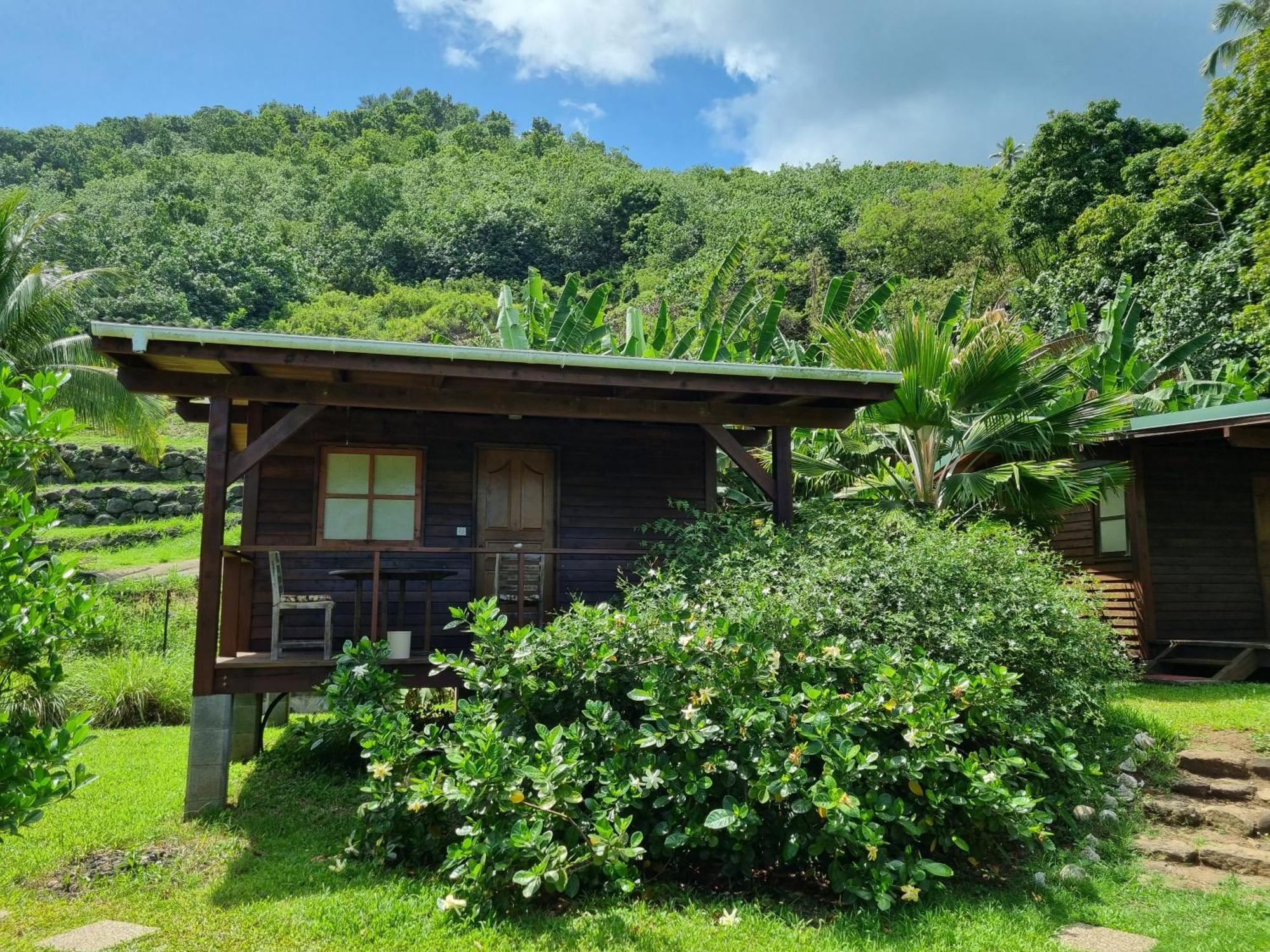 Painapaopao Backpacker Albergue Moorea Exterior foto